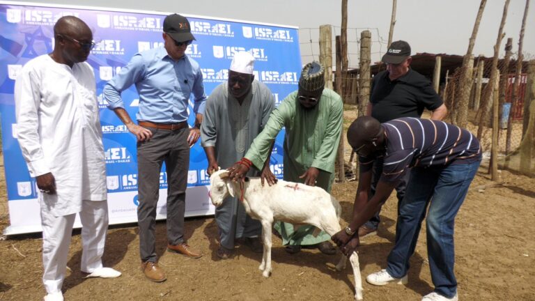 Bambilor : 19e édition du “don de moutons” de l’Ambassade d’Israël, entre solidarité et nouveau projet de coopération agricole