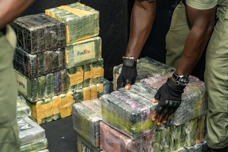 Lutte contre la drogue : Plus de 600 plaquettes de cocaïne et divers stupéfiants incinérés à la SOCOCIM