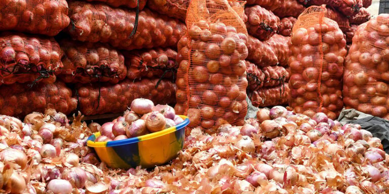 Écoulement de l’oignon : les producteurs de Ngomène tirent la sonnette d’alarme