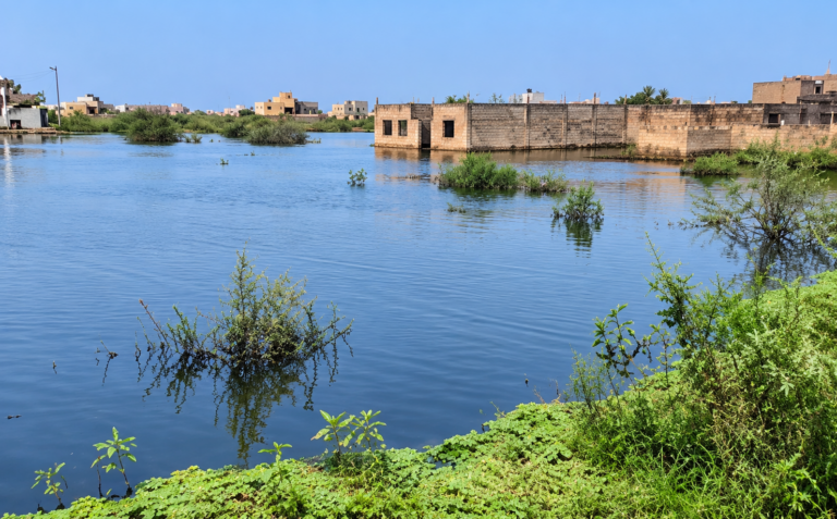 Sangalkam. Inondations à Keur Ndiaye Lô : la Cité Alieu confrontée à la détresse
