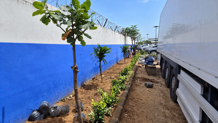 Marché central au poisson de Dakar : Aliou Baldé lance une nouvelle étape de l’embellissement du site
